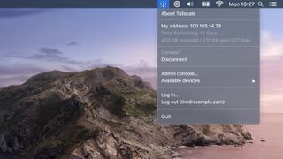The Tailscale interface