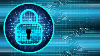 security in either data protection or cyber security