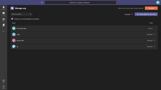 Screenshot of the user interface in Microsoft Teams